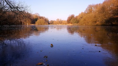 Epsom Common